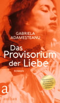 Das Provisorium der Liebe