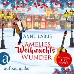 Amelies Weihnachtswunder