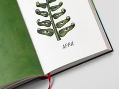 Ein Jahr in der Natur