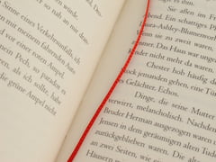 Die Lästigen