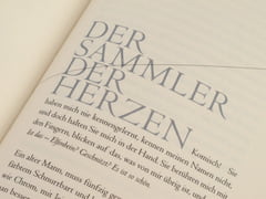 Die Lästigen