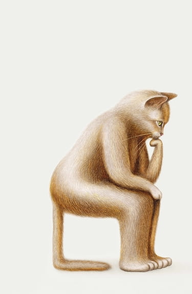 John Gray, Katzen und der Sinn des Lebens, Illustration