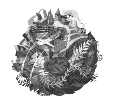 Simone_Böcker_Rewilding_Illustration_02