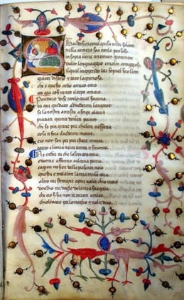 Mit blau-roten Ranken verzierte Handschrift aus dem Mittelalter