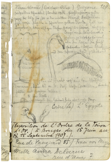 Bleistiftskizzen von hlamingos auf kariertem Papier in einem Notizbuch, daneben handschirftliche Notizen.