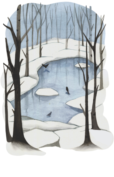 Illustration aus Josephine Johnson, ein Jahr in der Natur. Dargestellt wird eine WINTERLICHE LANDSCHAFT MIT KAHLEN BÄUMEN UND EINEM SEE