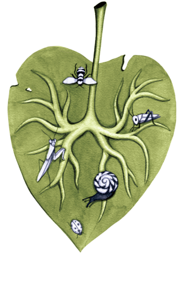 Illustration aus Josephine Johnson, ein Jahr in der Natur. Dargestellt wird  ein grünes Blatt mit Insekten drauf