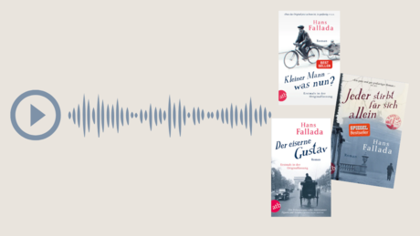  Fallada Gesammelte Titel