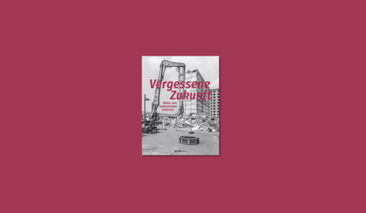 Banner mit Cover von Danyer, Herschel, Vergessene Zukunft