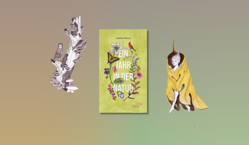 Banner mit Cover von Josephine Johnson, Ein Jahr in der Natur und zwei illustrationen von Andrea wan aus dem Buch