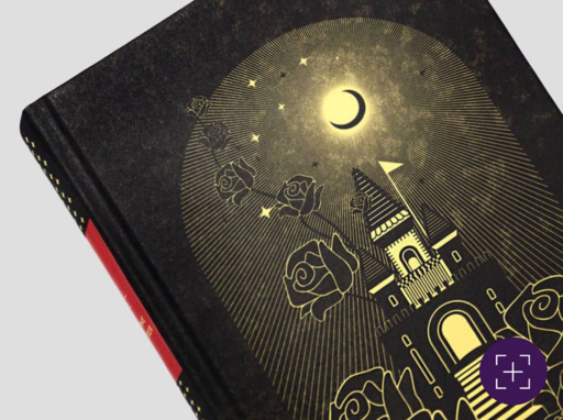 Angechnittenes Cover von Klaus Hammer, Die Schöne und das Tier. Das Cover zeigt eine Illustration eines Schlosses bei Nacht in schwarz und hellgelb