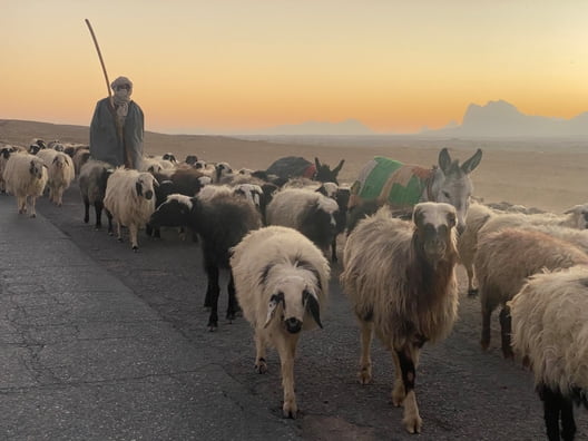 Provinz Zabul, Afghanistan