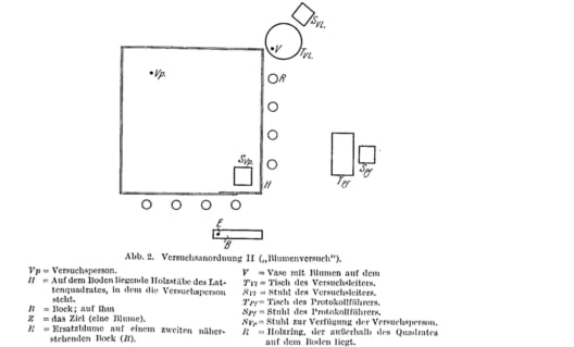 Jan Böttcher, Das Rosenexperiment, Skizze