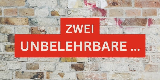 Gregor Gysi Peter Michael Diestel Zwei Unbelehrbare reden über Deutschland und ein bisschen über sich selbst_Grafik_01_d