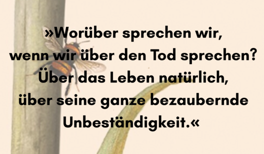 Georgi_Gospodinov_Der_Gärtner_und_der_Tod_Startbild_Grafik_3_2