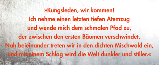 Zitat Rebecca Russ: »Kungsleden, wir kommen! Ich nehme einen letzten tiefen Atemzug und wende mich dem schmalen Pfad zu, der zwischen den ersten Bäumen verschwindet. Nah beieinander treten wir in den dichten Mischwald ein, und mit einem Schlag wird die Welt dunkler und stiller.«