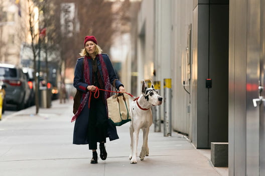 Szene aus dem Film "Loyal Friend", Naomi Watts mit Dogge, spazierend auf der Straße