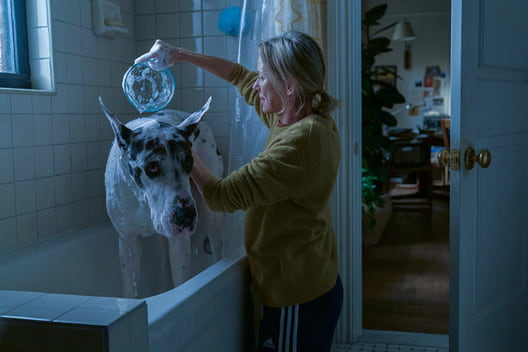 Szene aus dem Film "Loyal Friend", Naomi Watts wäscht Dogge in der Badewanne