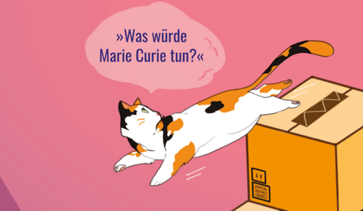 Banner mit einer Zeichnung einer Katze, die über einen Karton spring und einer Sprechblase mit dem Text: &quot;Was würde Marie Curie tun?&quot;