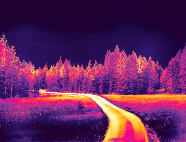 Annika_Strauss_Nachtfahrt_Header