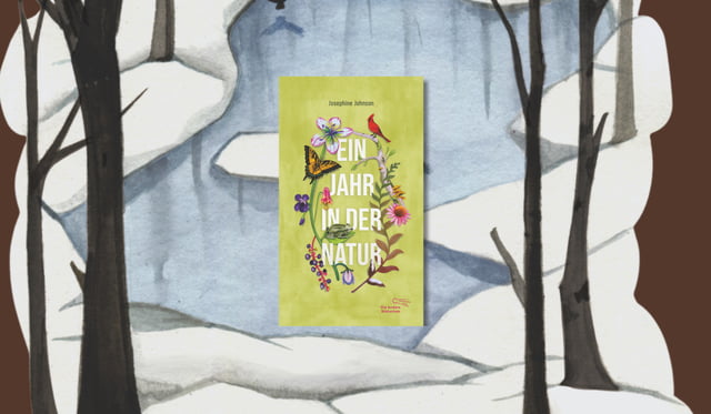 Banner mit Cover von Josephine Johnson, Ein Jahr in der Natur und eine Winterillustration von Andrea Wan aus dem Buch Im Hintergrund