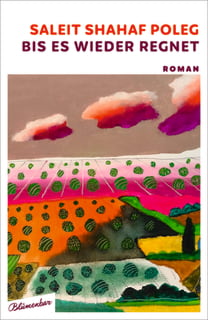 Saleit_Shahaf_Poleg_Bis_es_wieder_regnet_Cover