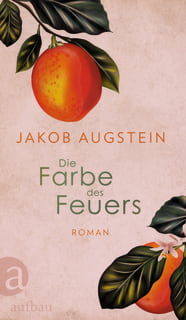 Jakob_Augstein_Die_Farbe_des_Feuers_Cover