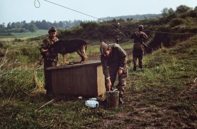 Versorgung von Hunden im Schutzstreifen