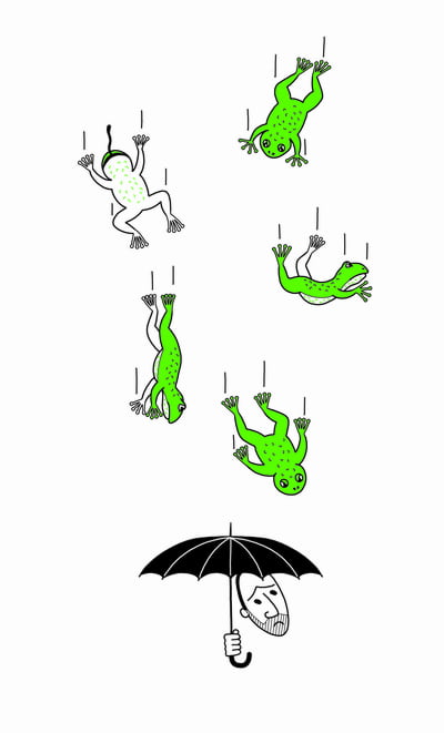 Der Ochsenfrosch