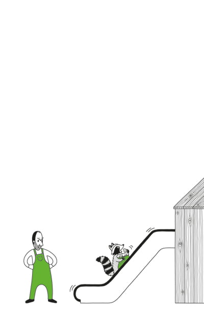 Der Waschbär