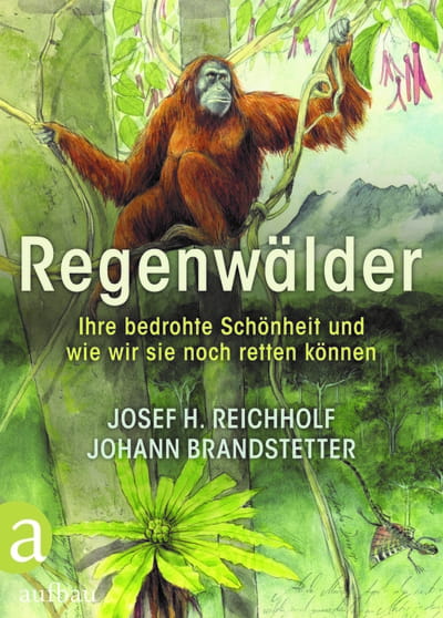 Regenwälder