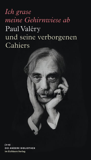 Ich grase meine Gehirnwiese ab