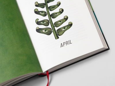 Ein Jahr in der Natur