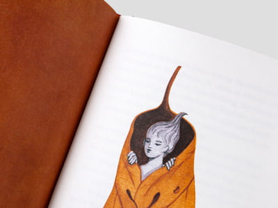 Ein Jahr in der Natur