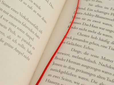 Die Lästigen