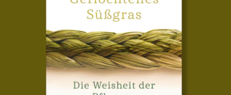 Robin_Wall_Kimmerer_Geflochtenes_Süssgras_Grafik_1