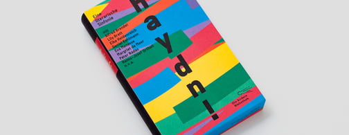 Ansicht des Covers von Haydn!