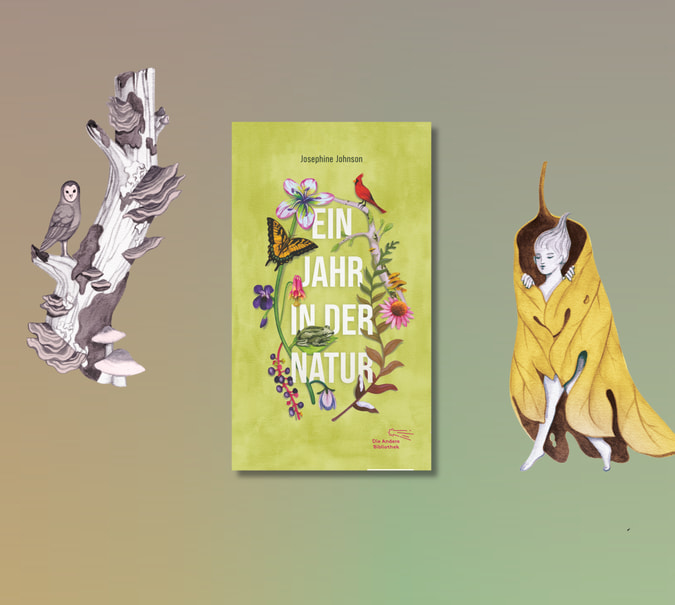 Banner mit Cover von Josephine Johnson, Ein Jahr in der Natur und zwei illustrationen von Andrea wan aus dem Buch