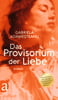 Das Provisorium der Liebe