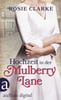 Hochzeit in der Mulberry Lane (Die große Mulberry Lane Saga, Bd. 2)