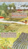 pondus_product - 7409